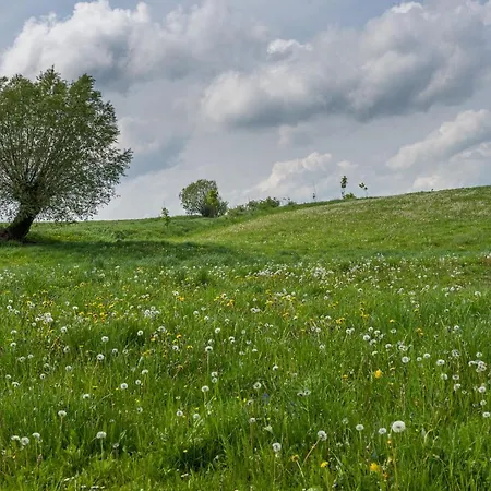 Landhaus Gosciniec Zelowka Wydminy