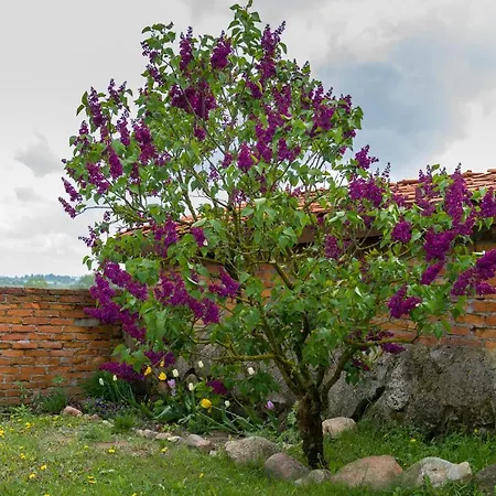 Country house Gosciniec Zelowka Wydminy